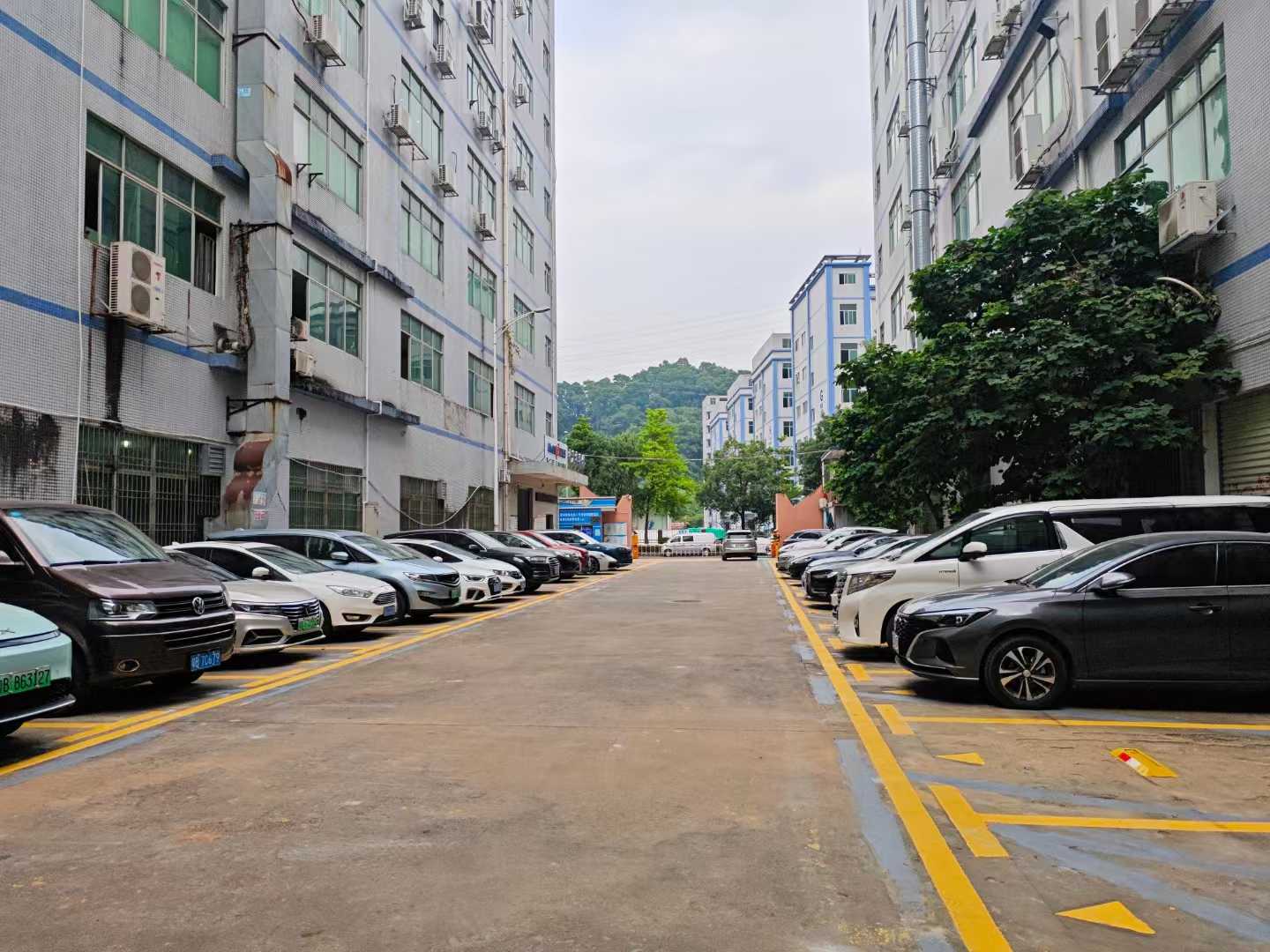 龙岗区坂田上雪科技园240平方现成冻库出租