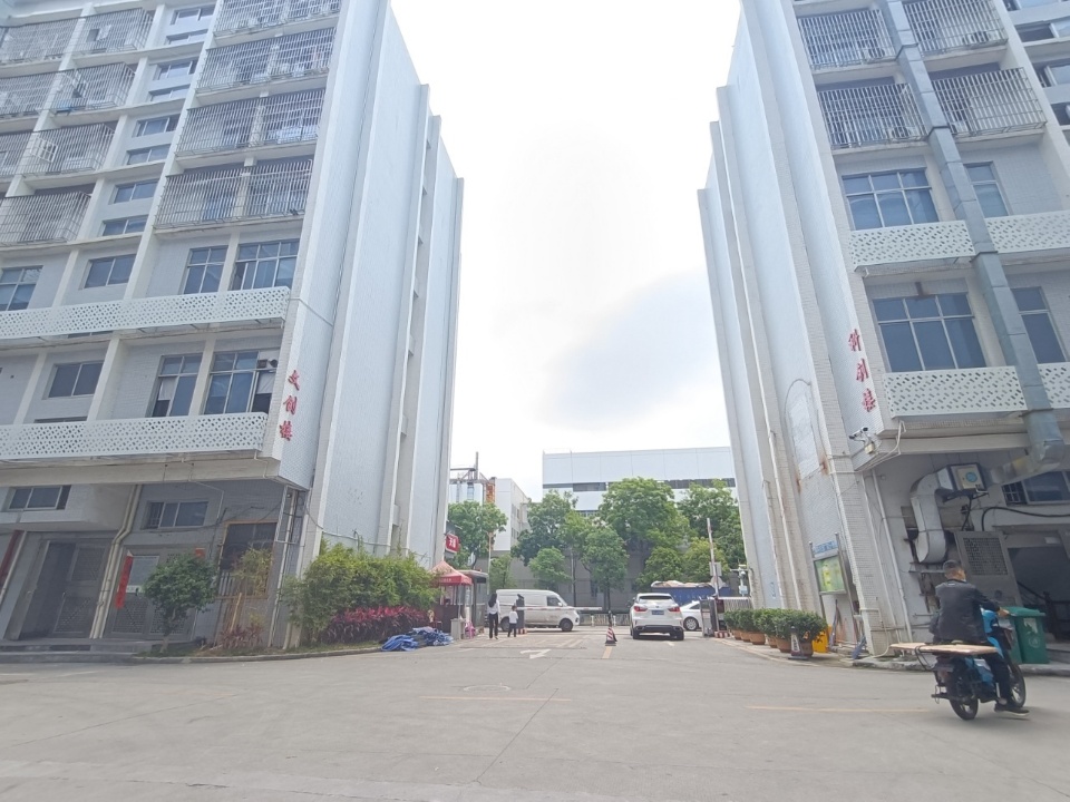 龙华大型工业区一楼精装修615平厂房出租