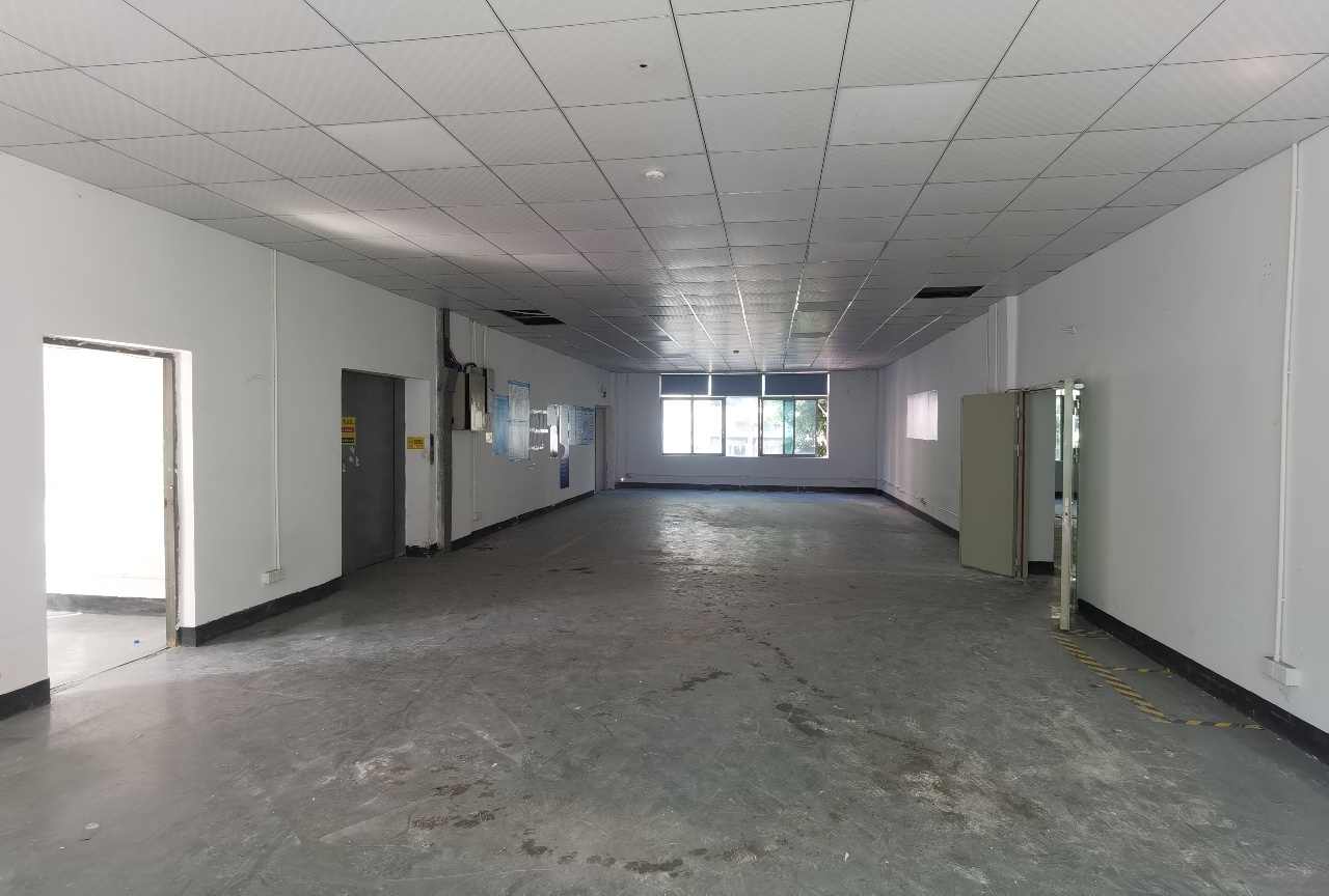 龙华清湖红本单层1300平厂房出租