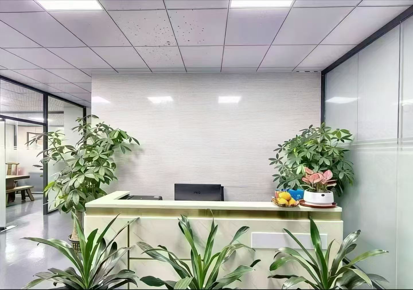 龙华大浪·750㎡精装办公+车间厂房出租